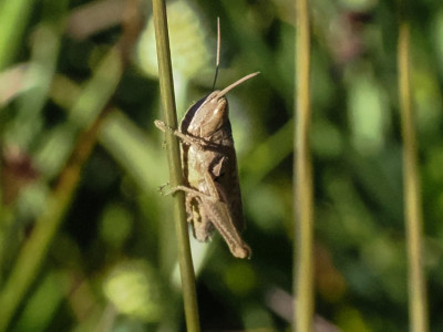 P8180006-2.jpg