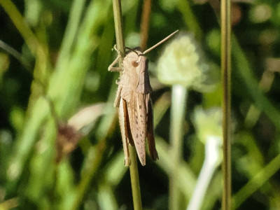 P8180004-2.jpg