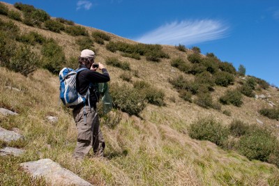 Lebensraum von Ephippiger persicarius unterhalb der Gondelstation des Monte Tamaro. Die Art findet sich meistens in der Krautschicht zwischen den Gräsern.