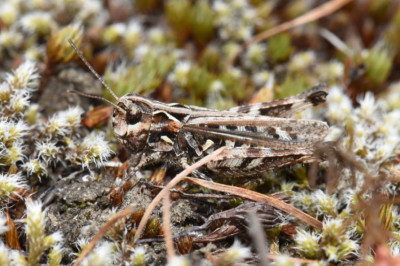 DSC_0429.JPG