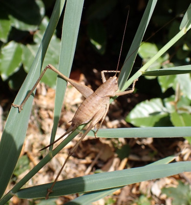 P9028627.JPG