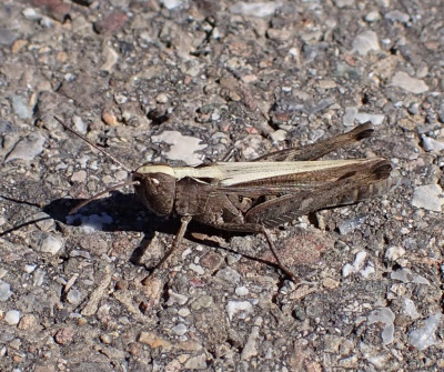 P9180607.JPG