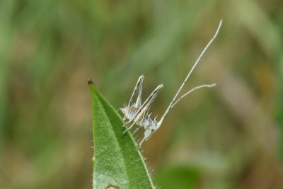DSC_1128.JPG