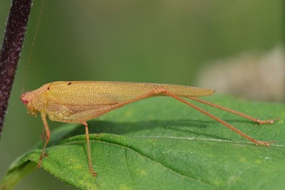 715A5234_UH_26082026.jpg