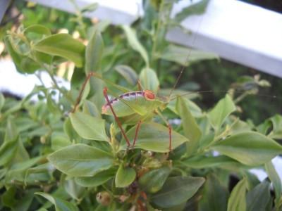 DSCN6282.JPG