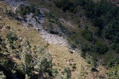 Lebensraum-Mosaik auf 1450m ü. M. mit verschiedenen Arten: Metrioptera saussuriana, Barbitistes obtusus, Pholidoptera aptera