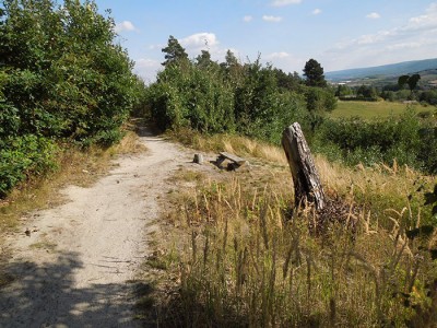 Terrain