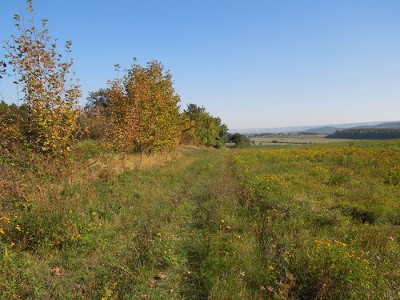 DSCN8778.JPG