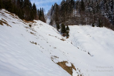 15.01.2014 - Der Lebensraum bei Ankunft.